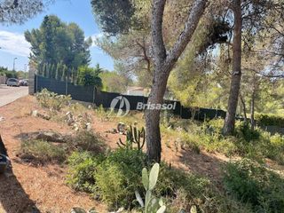 Terreny residencial a Catllar (El)