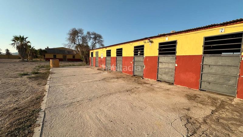 Foto 2853e8e3-a6fc-4d16-b773-b41dfed6def7. Rural plot in Jerónimo y Avileses Murcia