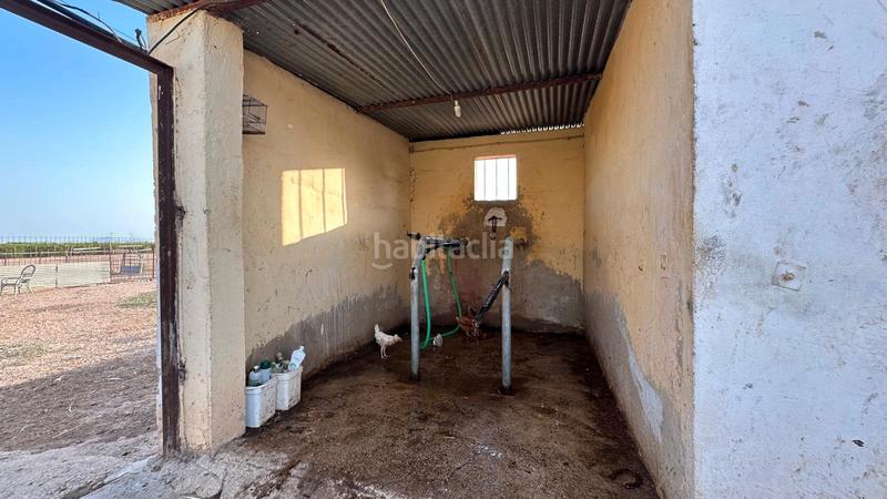 Foto 47ce94a9-d5ce-49b5-8e4a-fd2f1d20a0d4. Rural plot in Jerónimo y Avileses Murcia