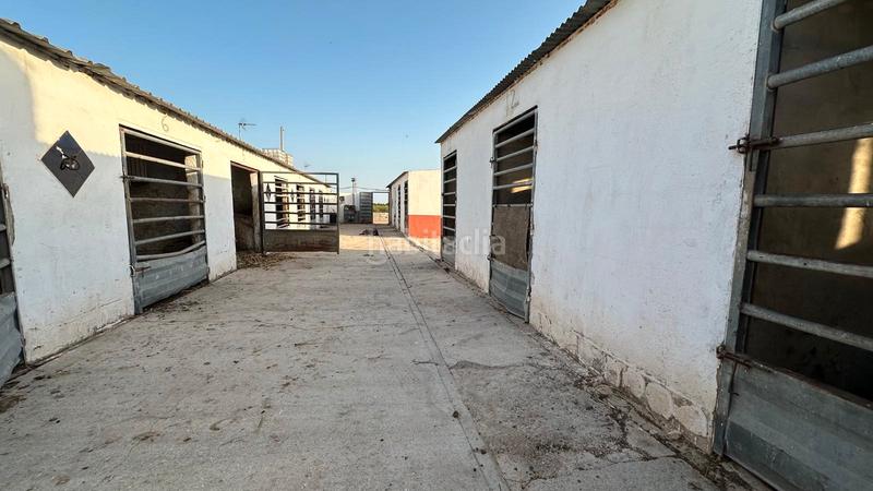 Foto c24d4697-b407-4c65-9691-0f953df21061. Rural plot in Jerónimo y Avileses Murcia