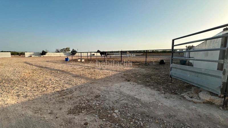 Foto cbde6d8c-780e-43e0-bb0d-03b261fe4554. Rural plot in Jerónimo y Avileses Murcia