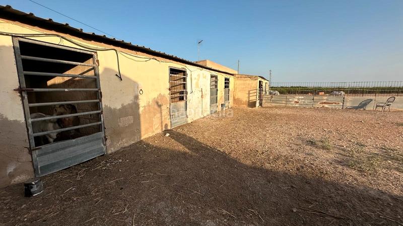 Foto d6ec1373-3a84-455d-b986-c149a54dca81. Rural plot in Jerónimo y Avileses Murcia