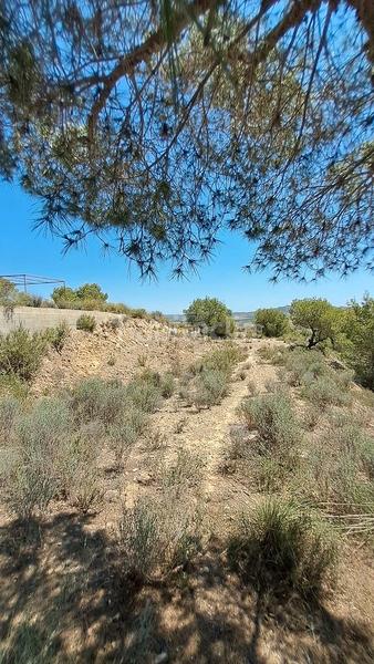 Foto 7a5429e0-7149-4f67-a5c7-7d7bd1a4d531. Terrain résidentiel dans Cañadas de San Pedro Murcia