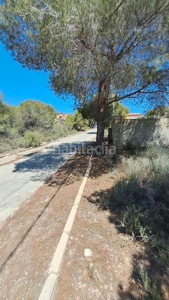Foto 90b96dfb-91a1-4ccf-a39a-1908f43298c3. Terrain résidentiel dans Cañadas de San Pedro Murcia