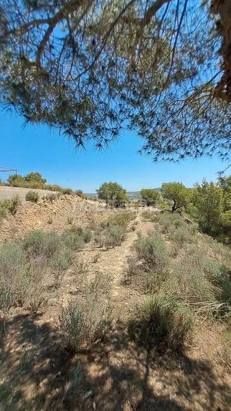 Foto e423af79-164a-41d2-976d-099e48d73a01. Terrain résidentiel dans Cañadas de San Pedro Murcia
