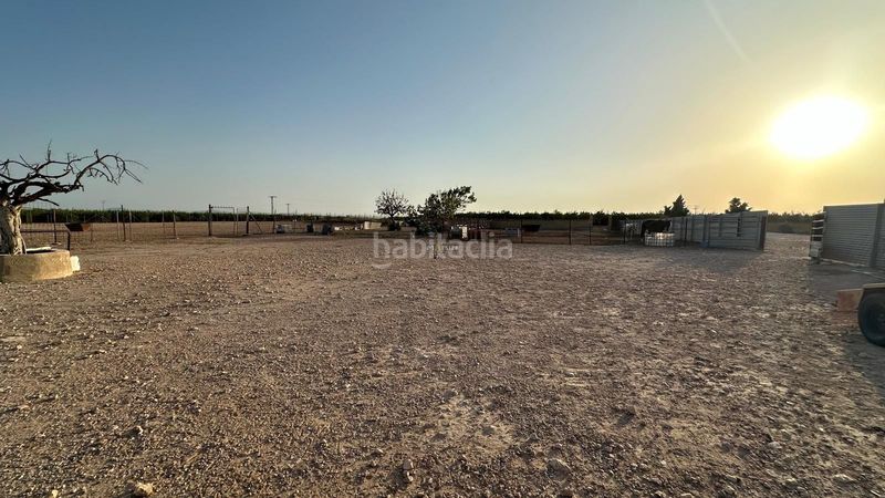 Foto d8318ec7-a620-4ca7-acae-0f8fab3e773c. Finca rústica a Jerónimo y Avileses Murcia