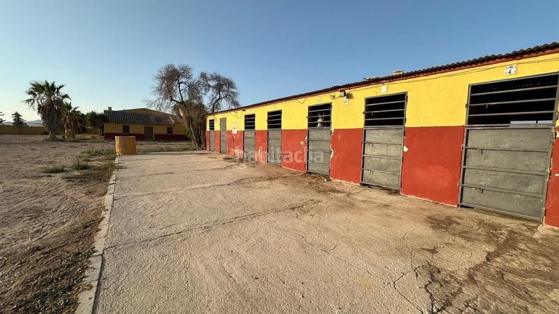 Foto d89828cd-1d71-4061-839e-a7eacebe9114. Finca rústica a Jerónimo y Avileses Murcia