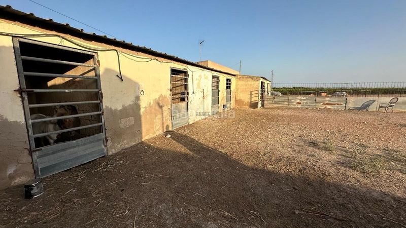 Foto d8b8e044-a9d9-4b22-9a7e-2e3904b5cf82. Finca rústica a Jerónimo y Avileses Murcia