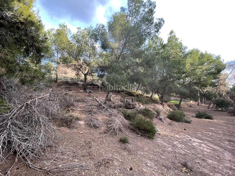 Foto 7d99b8a2-7437-470f-a9f9-1d7797c40c65. Country house with heating pool in El Esparragal Murcia