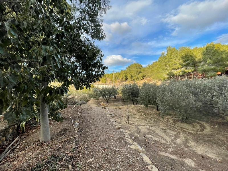 Foto b4028c6b-5b52-4e46-ab6c-226fbfb0e9e5. Country house with heating pool in El Esparragal Murcia