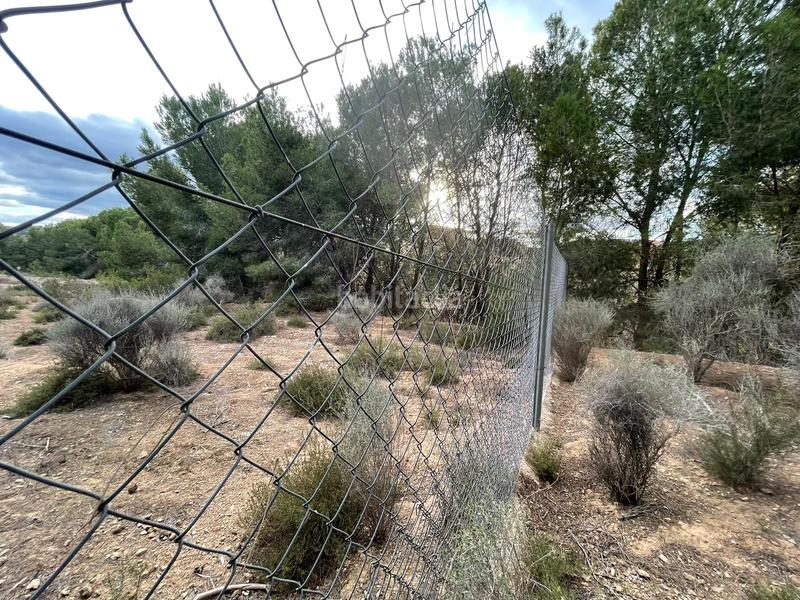 Foto ce0b6883-5caf-4d05-99a8-291e097d3773. Country house with heating pool in El Esparragal Murcia