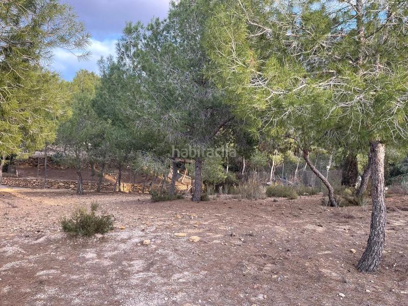 Foto fbe610a1-c2be-4596-a9c6-0298514f7b2d. Country house with heating pool in El Esparragal Murcia