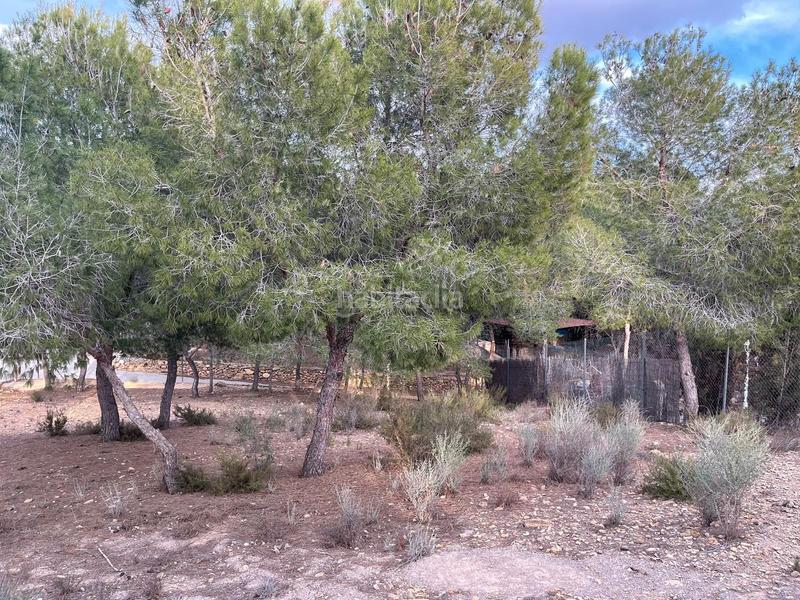 Foto 324d7cd7-6a02-4b80-b16a-45a1d52198bb. Mas avec chauffage piscine dans El Esparragal Murcia