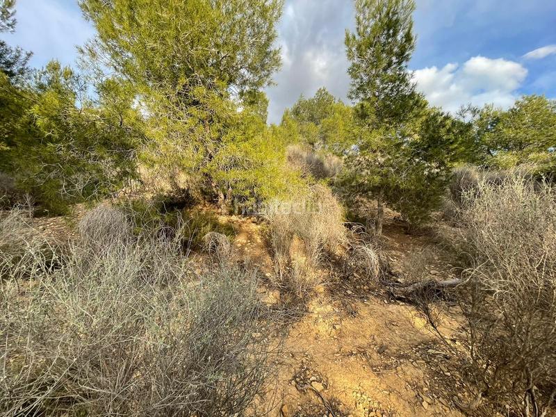 Foto 5301e33b-694c-4a68-adad-69a333f82309. Mas avec chauffage piscine dans El Esparragal Murcia