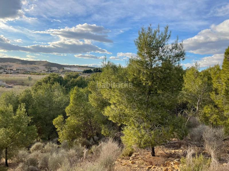 Foto f24fe8eb-8307-48c8-91e0-63cac5b118fe. Mas avec chauffage piscine dans El Esparragal Murcia