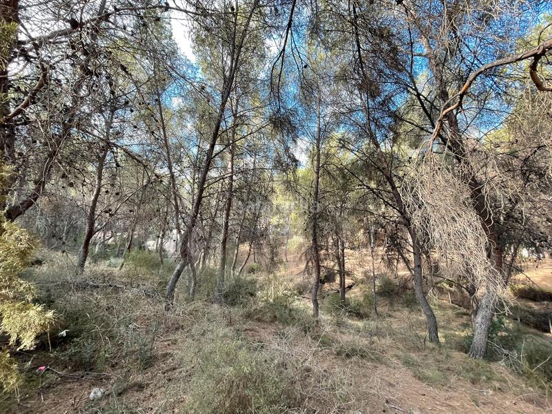 Foto 4e22f675-1bcf-414c-bba8-86e18d414835. Terreny residencial a El Palmar Murcia