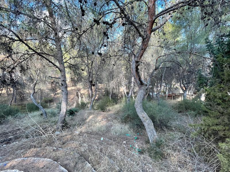 Foto 6a947cc6-4393-43fc-91e5-7e975e91f62b. Terreny residencial a El Palmar Murcia