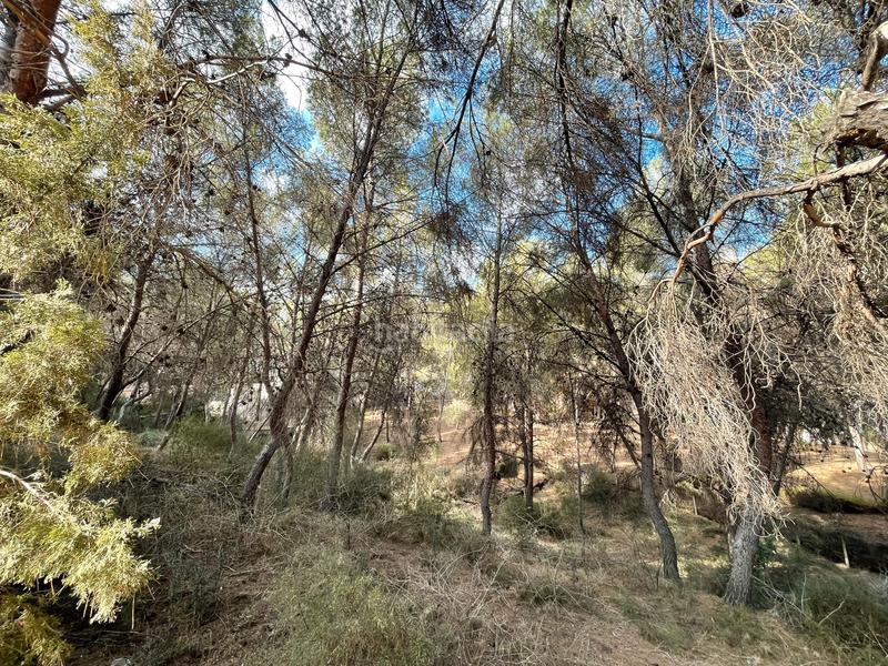 Foto ab201dfb-a32a-49f6-81f9-c08c99349a0d. Terreny residencial a El Palmar Murcia