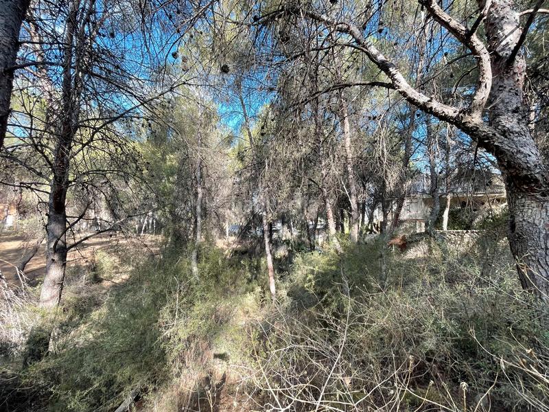 Foto e4fccc7b-fb22-45d0-9ece-5d21483e10b2. Terreny residencial a El Palmar Murcia