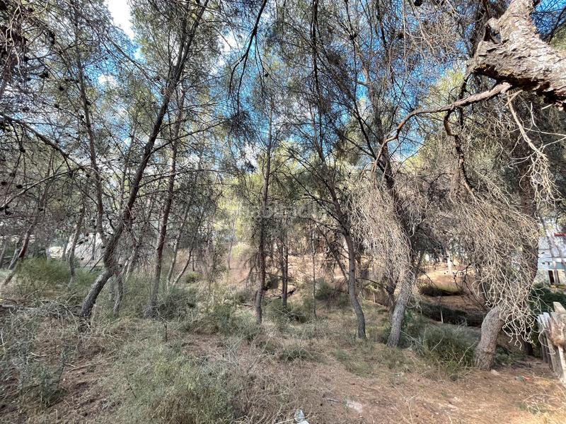 Foto e63f52ee-5f10-4562-9ee8-386ea91a3973. Terreno residenziale in El Palmar Murcia