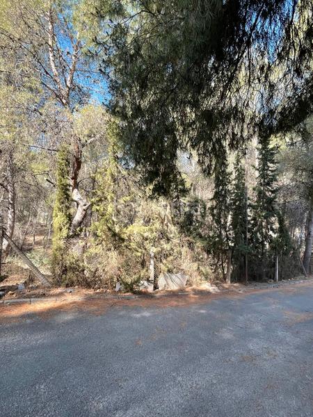 Foto 12bc85b5-87c6-40a0-9c32-e99a4fcbd91a. Wohngrundstück in El Palmar Murcia