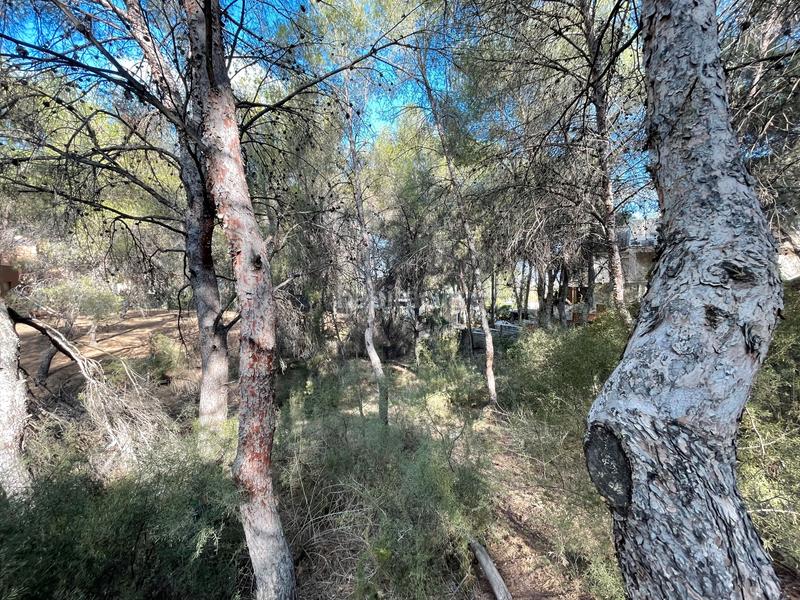 Foto 1fc84a7f-94cf-4584-9af5-dbe0f87cf71a. Wohngrundstück in El Palmar Murcia