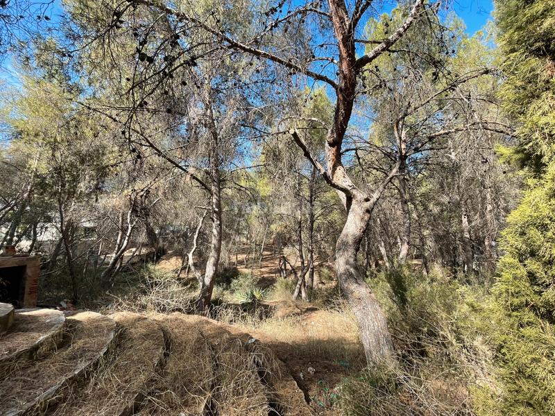 Foto 48c93aba-6f4b-46f8-827a-1c8c7d8cf885. Wohngrundstück in El Palmar Murcia