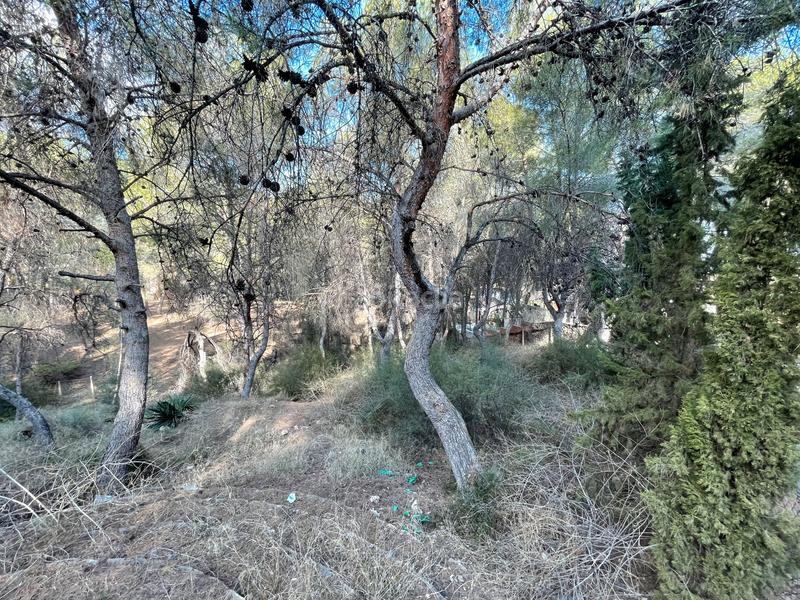 Foto 88279b6d-9a93-4cdc-8e29-61379d99db4c. Wohngrundstück in El Palmar Murcia