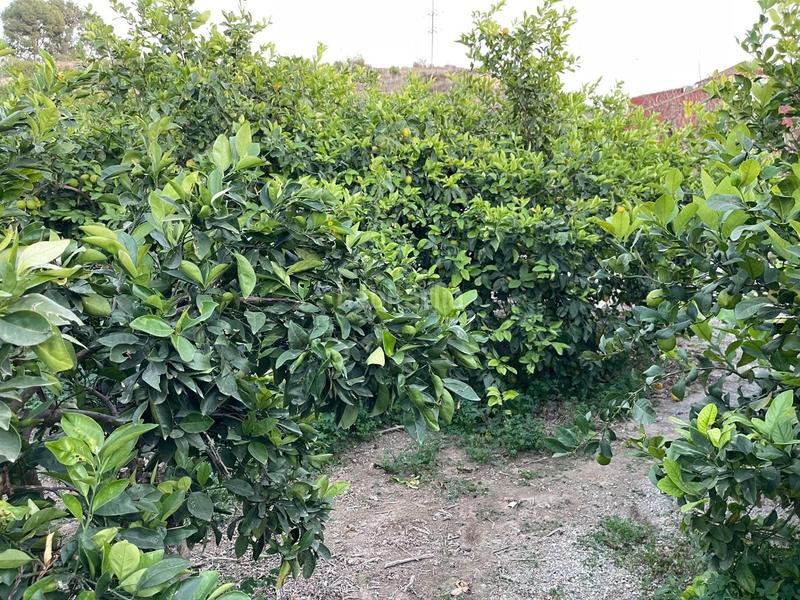 Foto 1679c2f4-9da4-4a6f-af3a-24e9b19c7e8b. Propriété dans Monteagudo Murcia