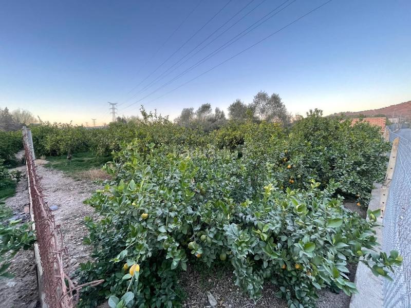 Foto 6dc7298d-30c7-4d57-82dc-0d3fe8949e73. Propriété dans Monteagudo Murcia