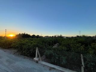 Propriété à Monteagudo. Se vende terreno rustico en monteagudo