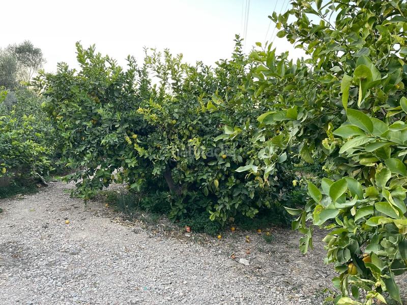 Foto 7f1b3b18-e68f-47ba-b993-e58800d43216. Propriété dans Monteagudo Murcia