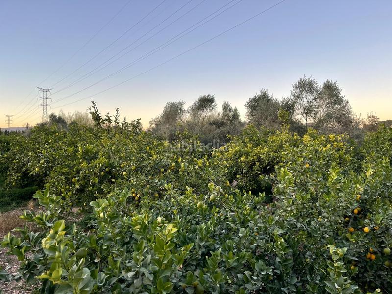 Foto d33c2ada-9275-4b62-9c83-cbf2db3d5cda. Propriété dans Monteagudo Murcia