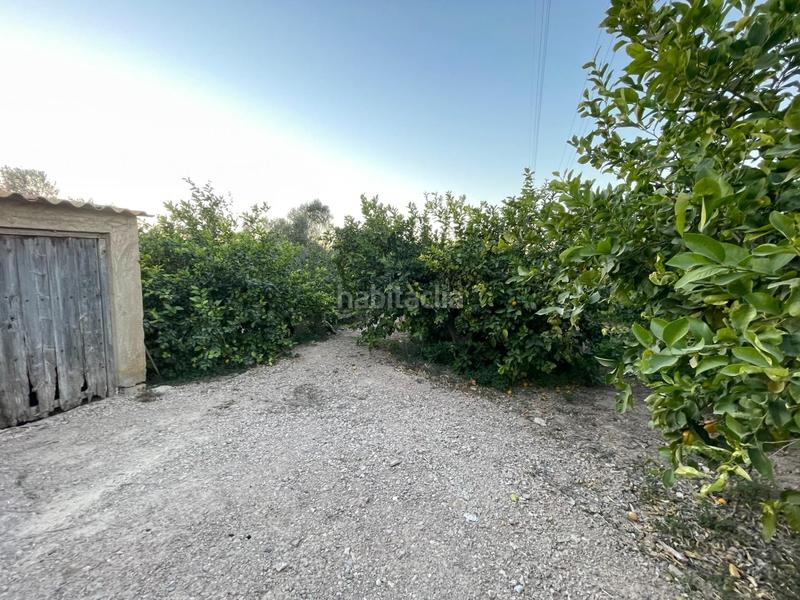 Foto d5a0cd64-dc9b-4c27-ad51-7ed8db2cc9d3. Propriété dans Monteagudo Murcia