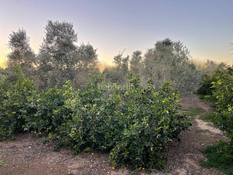 Foto dfaa5e9f-0db4-45e0-b667-350919ec2d0b. Propriété dans Monteagudo Murcia