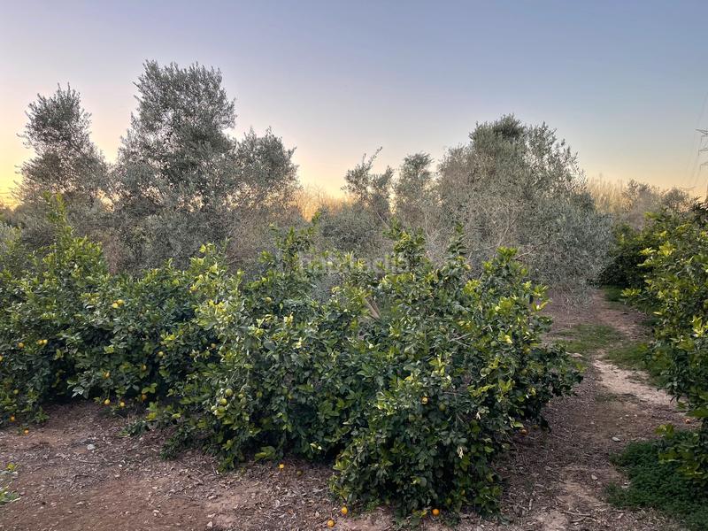 Foto 00846a4b-8112-4ad4-90d3-f3c2b5b1aa31. Propriété dans Monteagudo Murcia