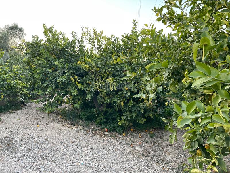 Foto 65bb2321-66df-4d16-9232-fd66e9ba205b. Propriété dans Monteagudo Murcia