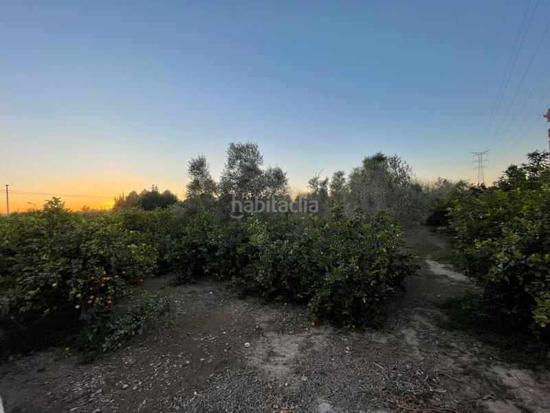 Foto 75b3ec86-6c34-4f1d-b08f-3152308fcf24. Propriété dans Monteagudo Murcia