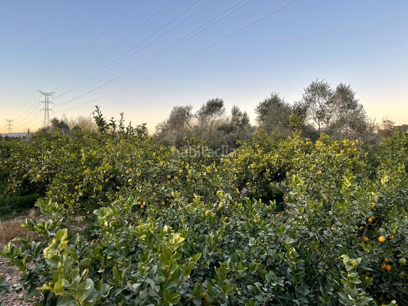 Foto 8db2aed9-300d-48a8-9b93-d91eb2bba712. Propriété dans Monteagudo Murcia