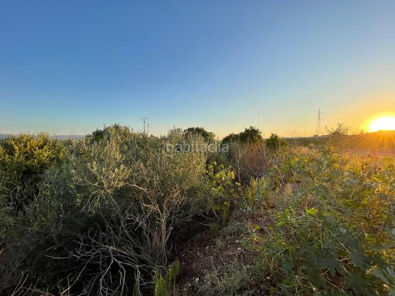 Foto 9a9ab610-b85c-4a74-a404-db897b12d6ef. Landgut in camino don luis 835 in Cabezo de Torres Murcia