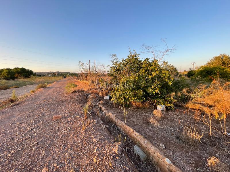 Foto 0a577bb8-cbd7-4146-aa06-caaa4b3fc789. Rural plot in camino don luis 835 in Cabezo de Torres Murcia