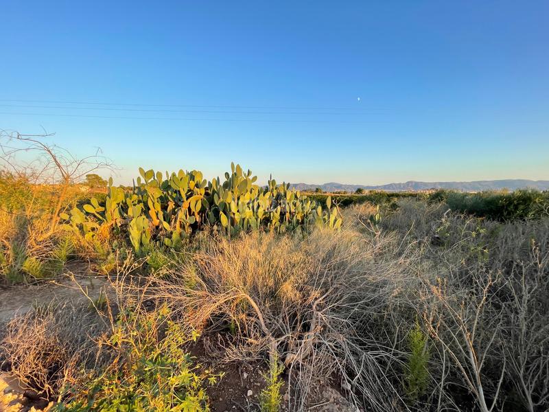 Foto 0f0d1f23-51ee-485a-b480-37046aa7ece6. Rural plot in camino don luis 835 in Cabezo de Torres Murcia