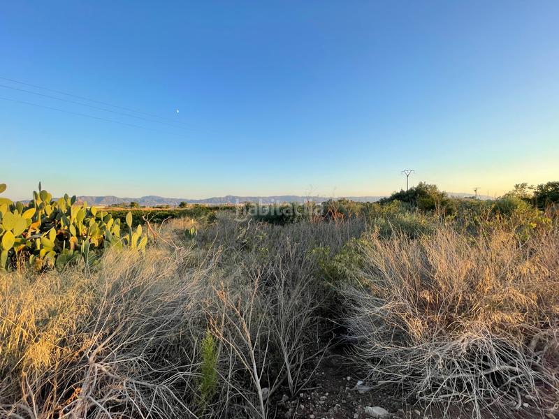 Foto 211d39a2-8b28-4712-8635-888ac79563ce. Rural plot in camino don luis 835 in Cabezo de Torres Murcia