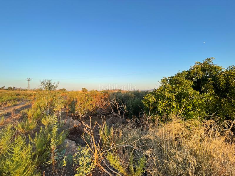 Foto 2183d84d-4f69-4603-9166-169812f6aa5e. Rural plot in camino don luis 835 in Cabezo de Torres Murcia
