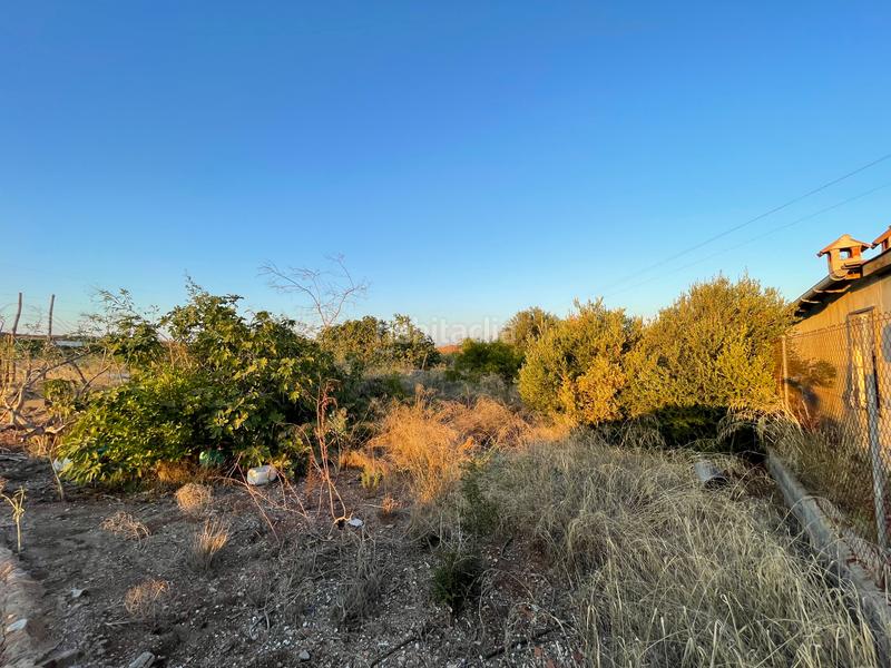 Foto 37aedadd-0895-457e-a904-23bb69e3b5be. Rural plot in camino don luis 835 in Cabezo de Torres Murcia