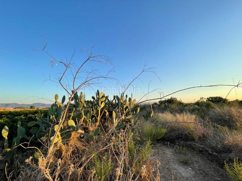 Foto 5564f4bf-43d4-49f9-a54f-33169b00f007. Rural plot in camino don luis 835 in Cabezo de Torres Murcia