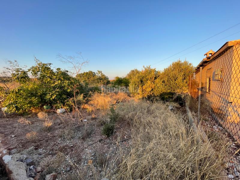 Foto b7a78cae-c896-4a26-85ef-9f2dd3e199fe. Rural plot in camino don luis 835 in Cabezo de Torres Murcia