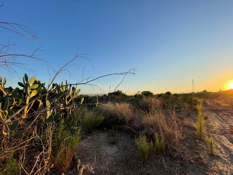 Foto c3c1163c-36c5-424d-ab6d-2bf6e024af5f. Rural plot in camino don luis 835 in Cabezo de Torres Murcia