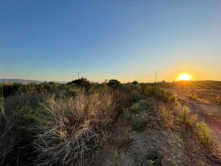 Rural plot in Camino don luis 835