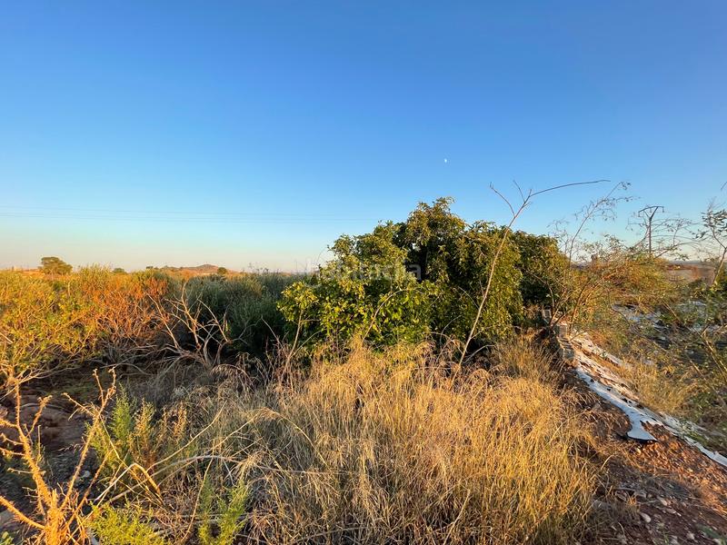 Foto d35b883a-496d-4200-9161-0ab16520e59c. Rural plot in camino don luis 835 in Cabezo de Torres Murcia